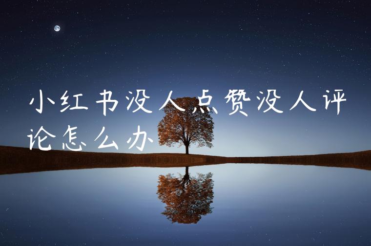 小红书没人点赞没人评论怎么办 小红书没人点赞没人评论怎么办