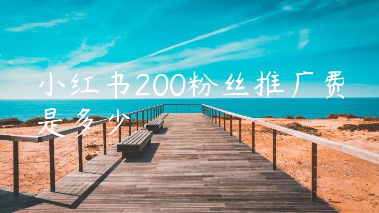 小红书200粉丝推广费是多少