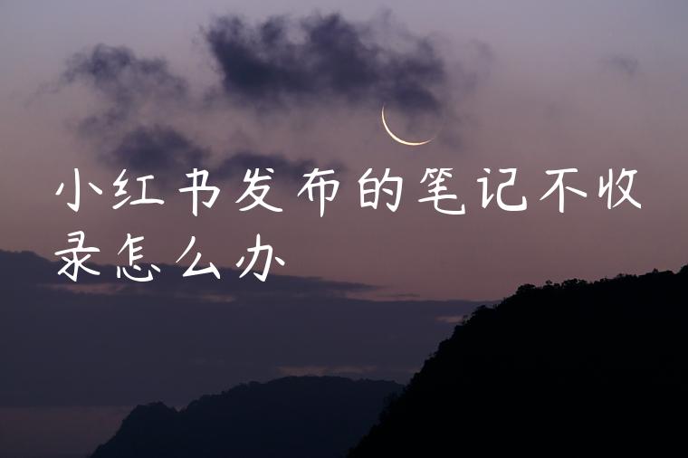 小红书发布的笔记不收录怎么办