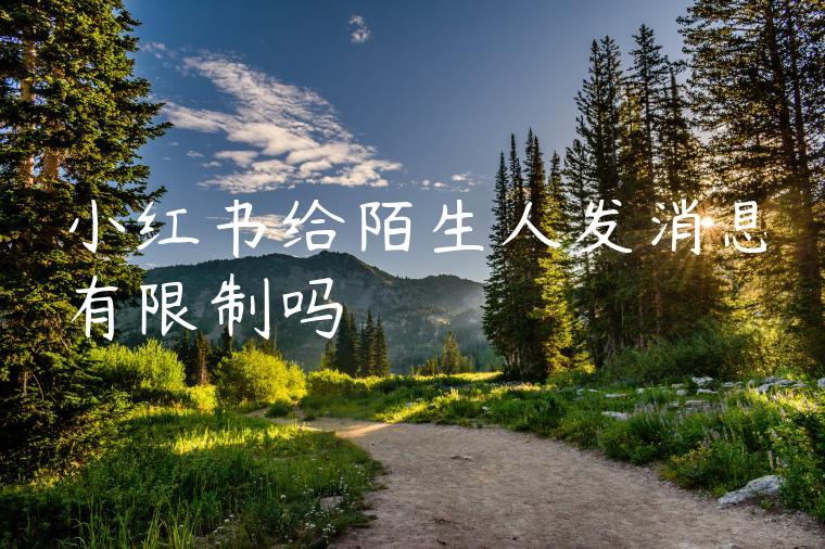 小红书给陌生人发消息有限制吗 小红书给陌生人发消息有限制吗