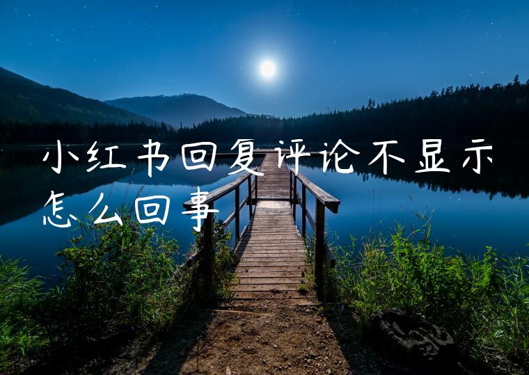 小红书回复评论不显示怎么回事