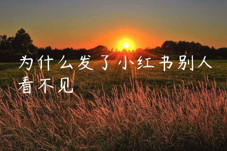 为什么发了小红书别人看不见