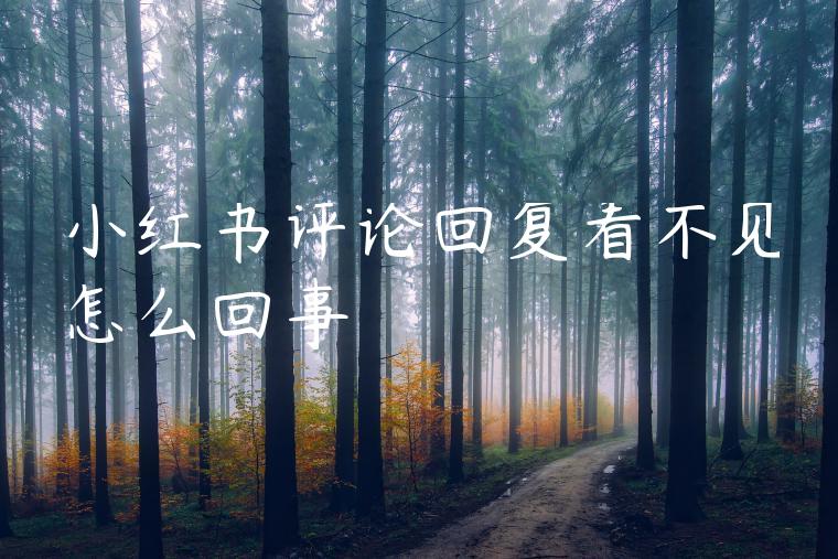 小红书评论回复看不见怎么回事