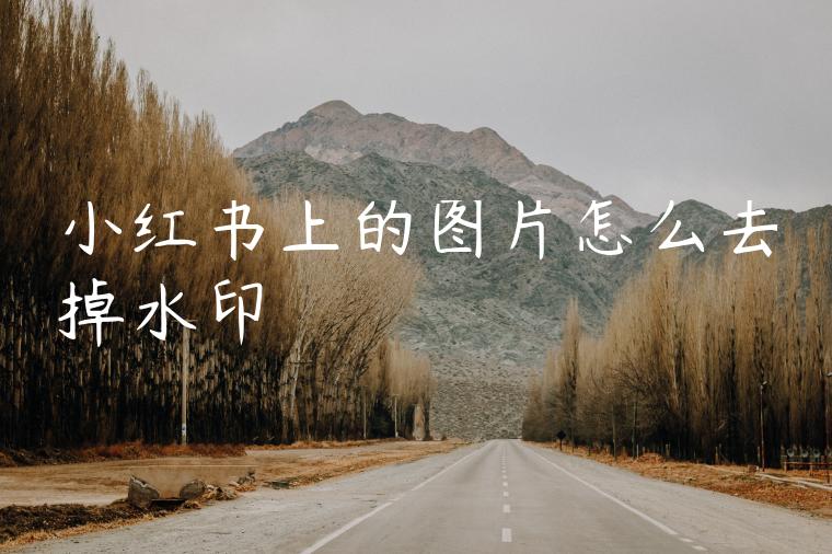 小红书上的图片怎么去掉水印