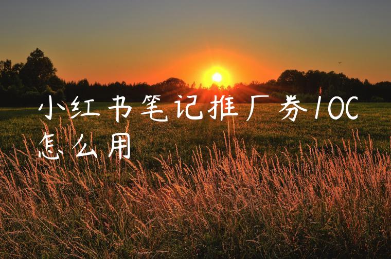 小红书笔记推广券100怎么用