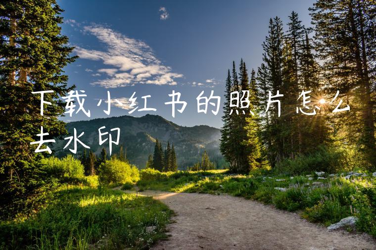 下载小红书的照片怎么去水印 下载小红书的照片怎么去水印