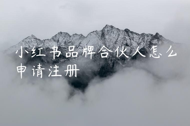 小红书品牌合伙人怎么申请注册