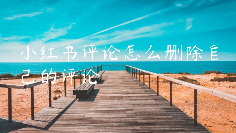 小红书评论怎么删除自己的评论