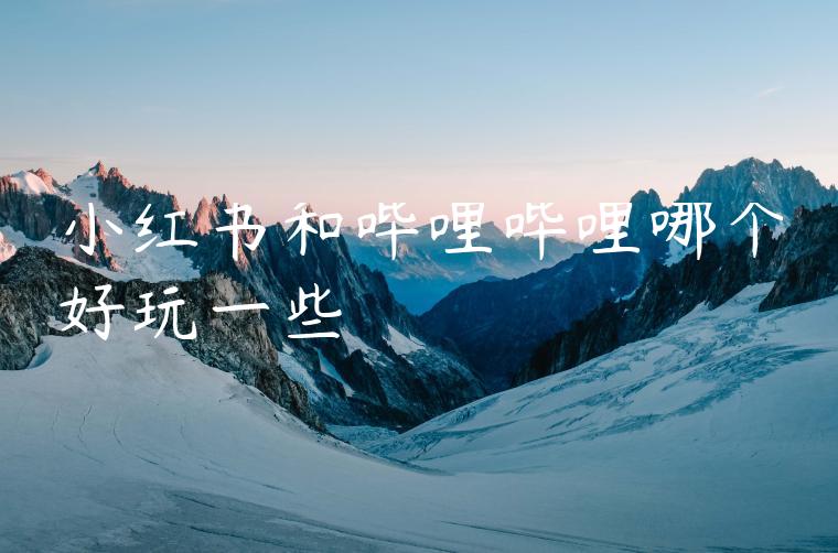 小红书和哔哩哔哩哪个好玩一些