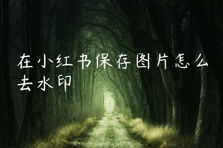 在小红书保存图片怎么去水印 在小红书保存图片怎么去水印