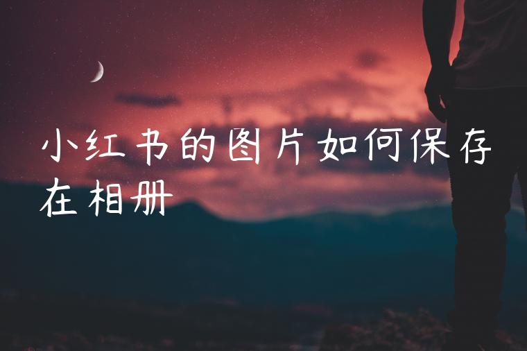 小红书的图片如何保存在相册 小红书的图片如何保存在相册