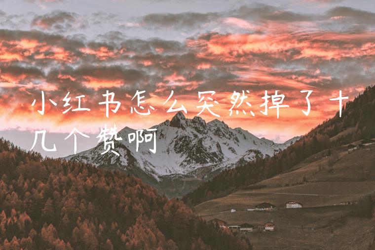 小红书怎么突然掉了十几个赞啊