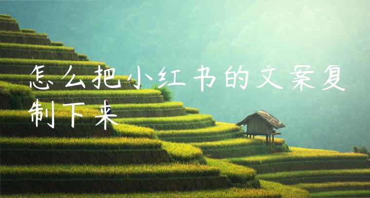 怎么把小红书的文案复制下来