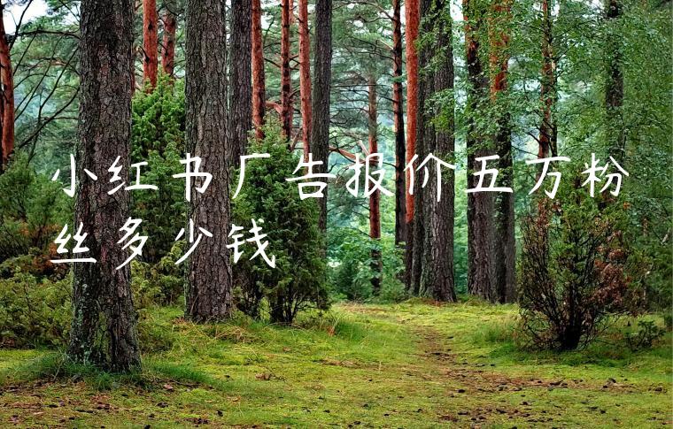 小红书广告报价五万粉丝多少钱 小红书广告报价五万粉丝多少钱