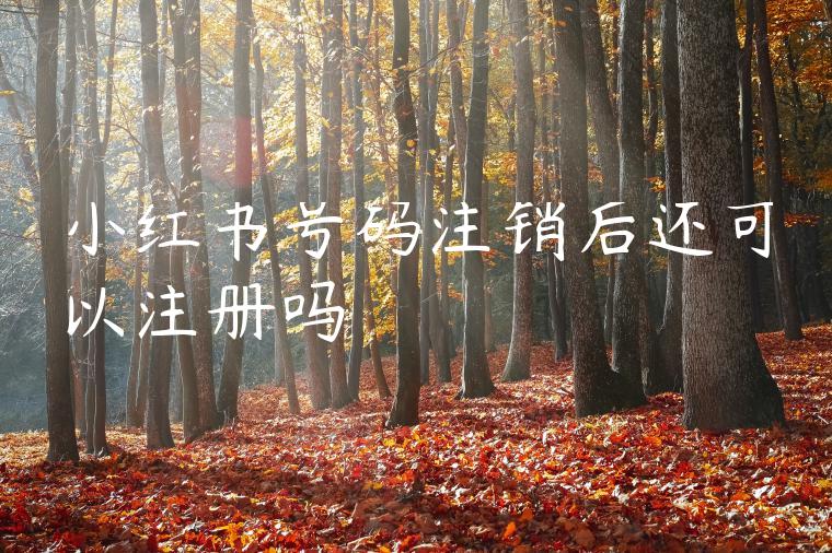 小红书号码注销后还可以注册吗 小红书号码注销后还可以注册吗