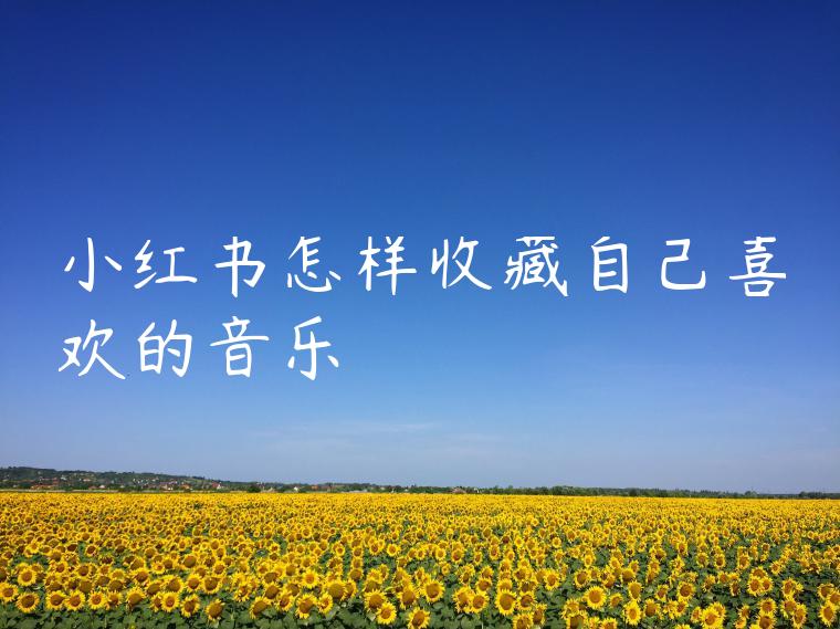 小红书怎样收藏自己喜欢的音乐