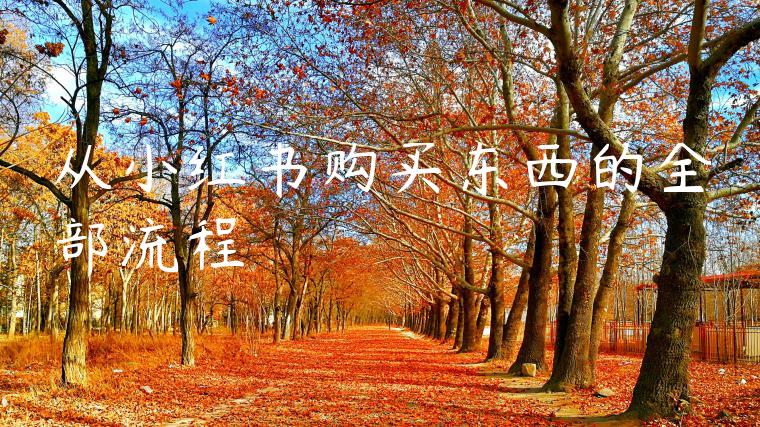 从小红书购买东西的全部流程 从小红书购买东西的全部流程