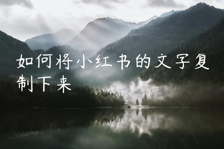 如何将小红书的文字复制下来