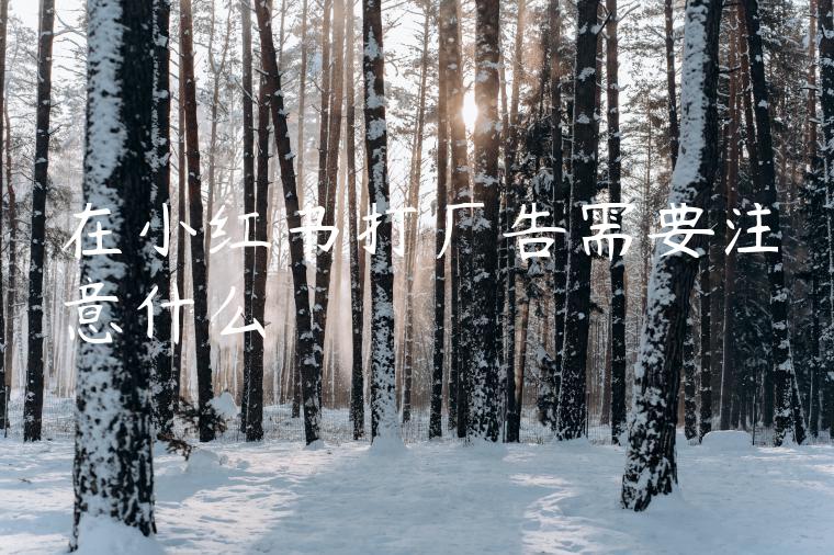 在小红书打广告需要注意什么