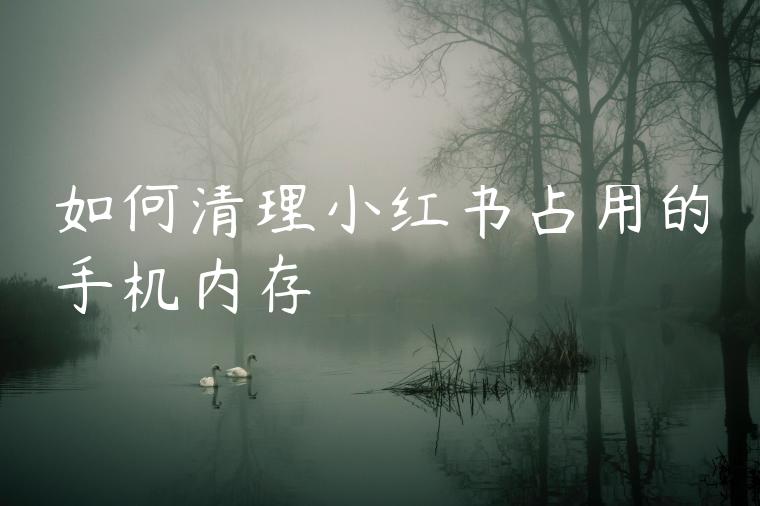 如何清理小红书占用的手机内存 如何清理小红书占用的手机内存