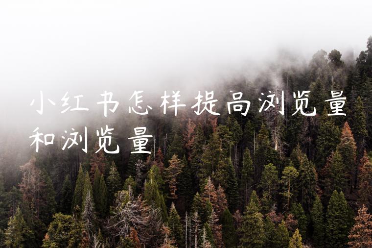 小红书怎样提高浏览量和浏览量