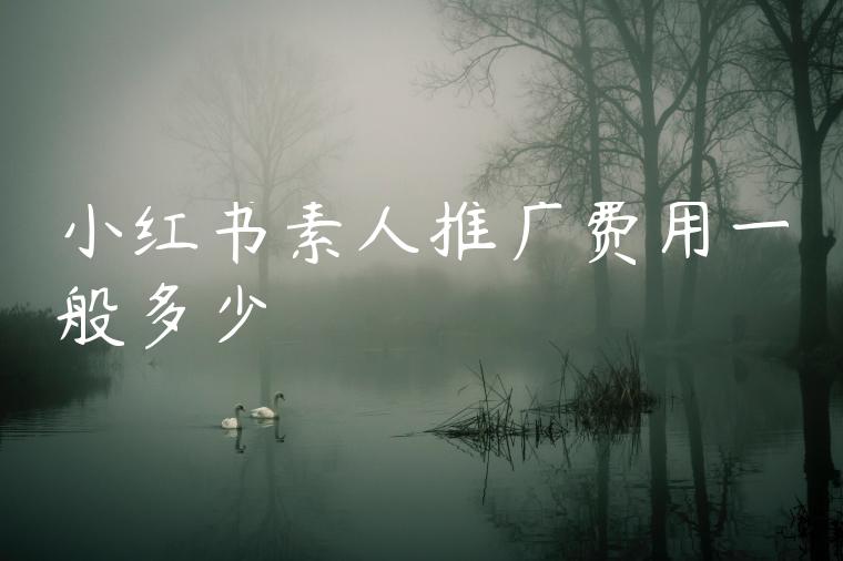 小红书素人推广费用一般多少