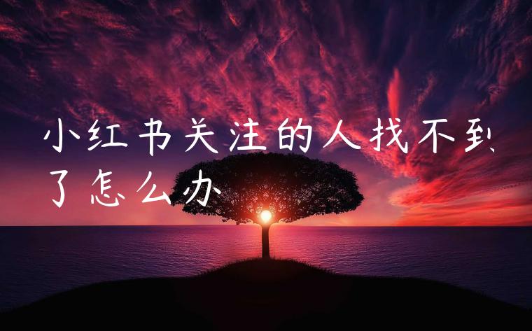 小红书关注的人找不到了怎么办 小红书关注的人找不到了怎么办