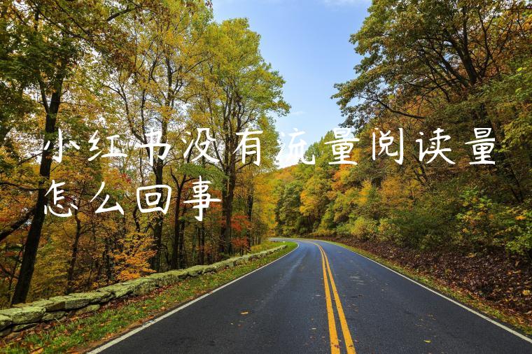 小红书没有流量阅读量怎么回事 小红书没有流量阅读量怎么回事