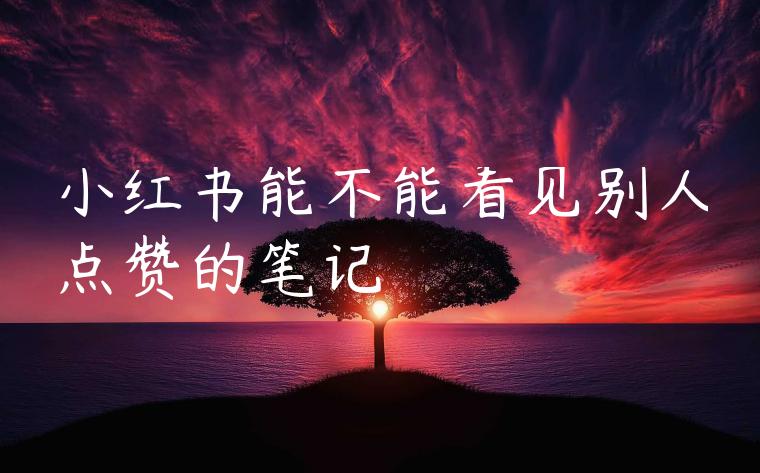 小红书能不能看见别人点赞的笔记 小红书能不能看见别人点赞的笔记