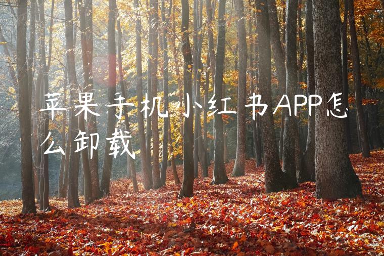 苹果手机小红书APP怎么卸载