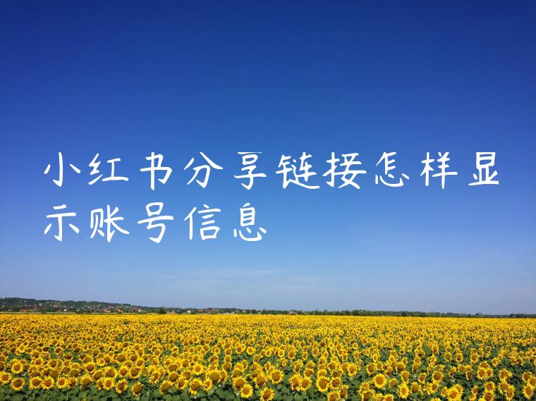 小红书分享链接怎样显示账号信息