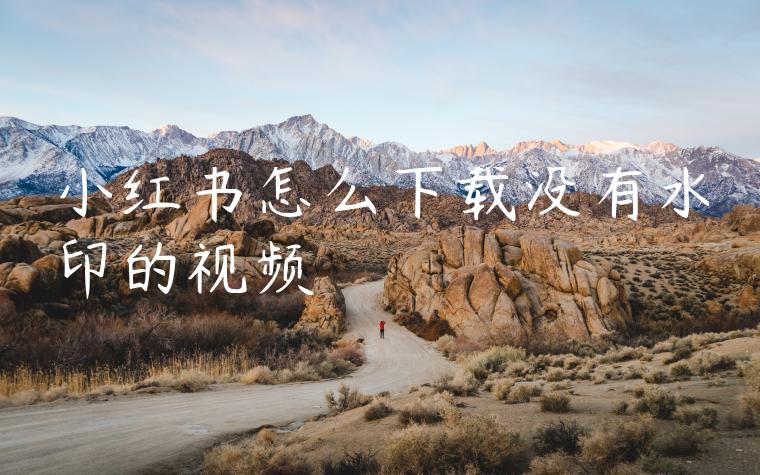 小红书怎么下载没有水印的视频 小红书怎么下载没有水印的视频