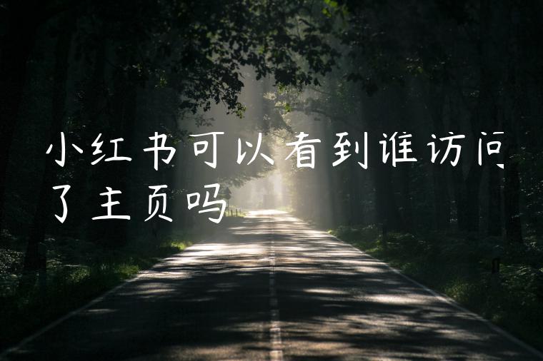 小红书可以看到谁访问了主页吗 小红书可以看到谁访问了主页吗