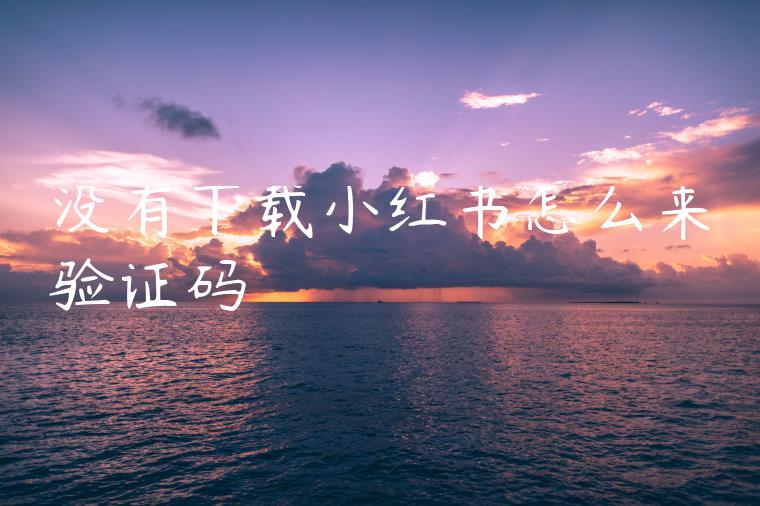 没有下载小红书怎么来验证码 没有下载小红书怎么来验证码