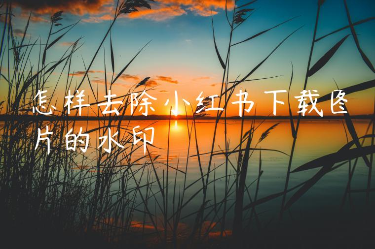 怎样去除小红书下载图片的水印 怎样去除小红书下载图片的水印