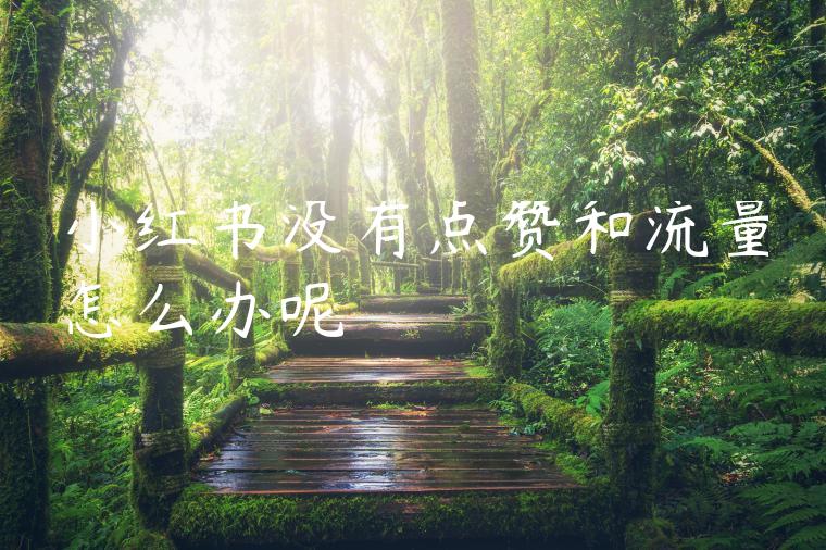 小红书没有点赞和流量怎么办呢 小红书没有点赞和流量怎么办呢