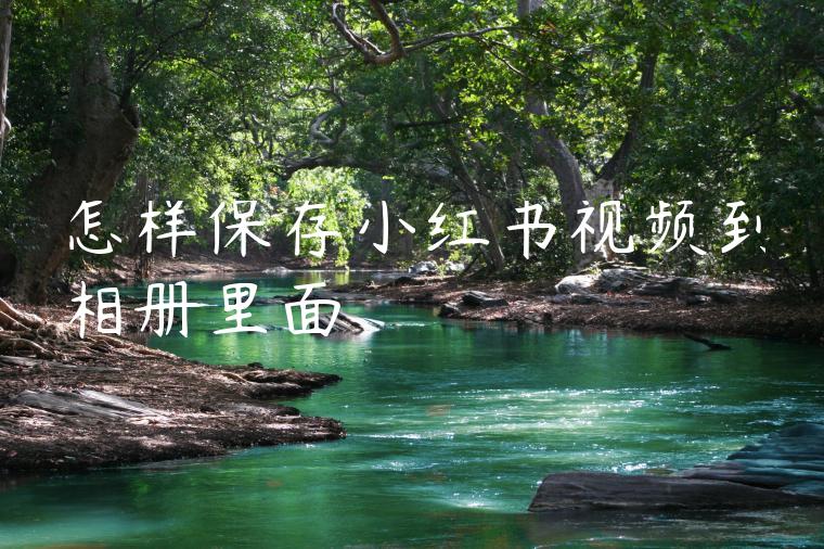 怎样保存小红书视频到相册里面