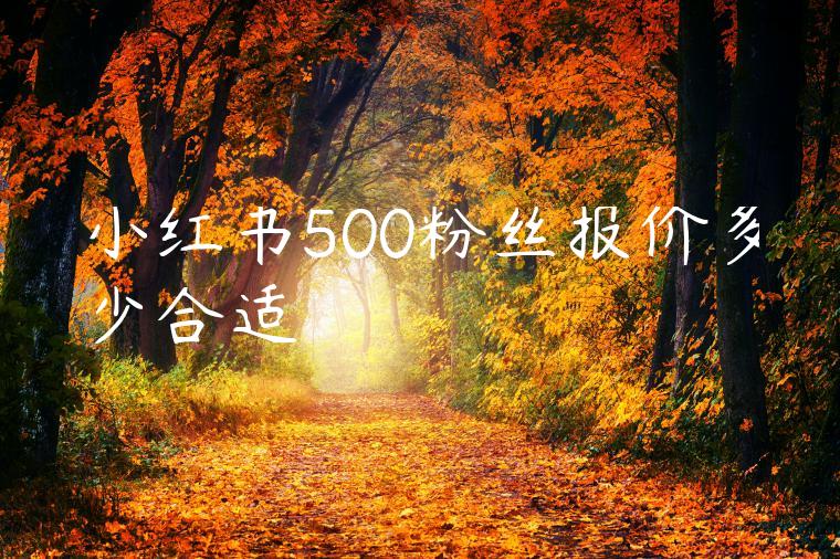 小红书500粉丝报价多少合适