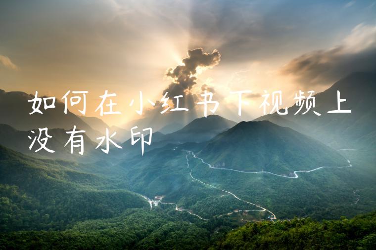如何在小红书下视频上没有水印 如何在小红书下视频上没有水印