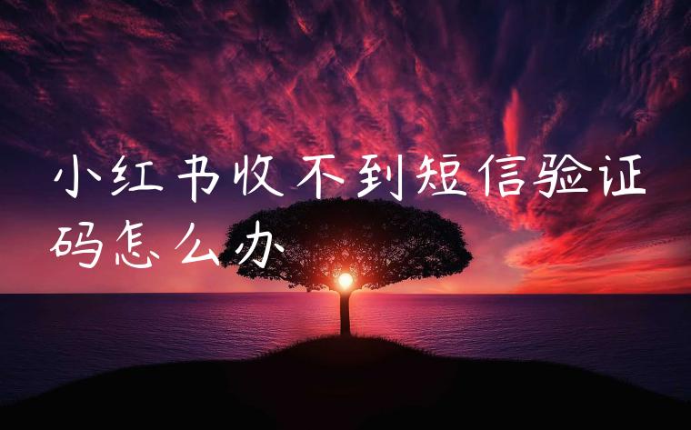 小红书收不到短信验证码怎么办 小红书收不到短信验证码怎么办