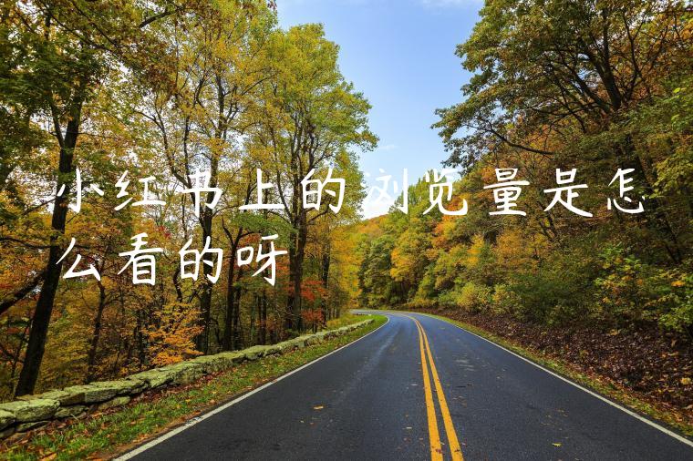 小红书上的浏览量是怎么看的呀 小红书上的浏览量是怎么看的呀