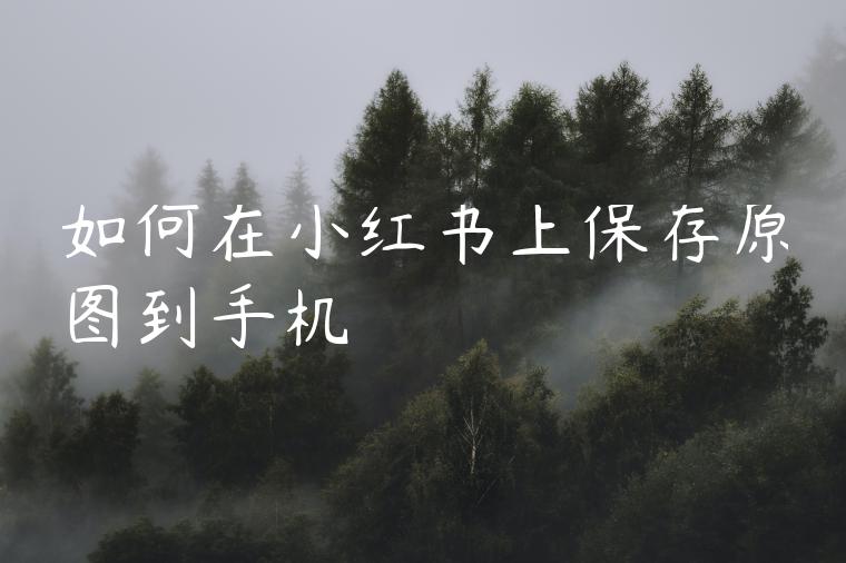 如何在小红书上保存原图到手机 如何在小红书上保存原图到手机