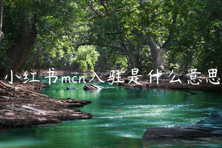小红书mcn入驻是什么意思