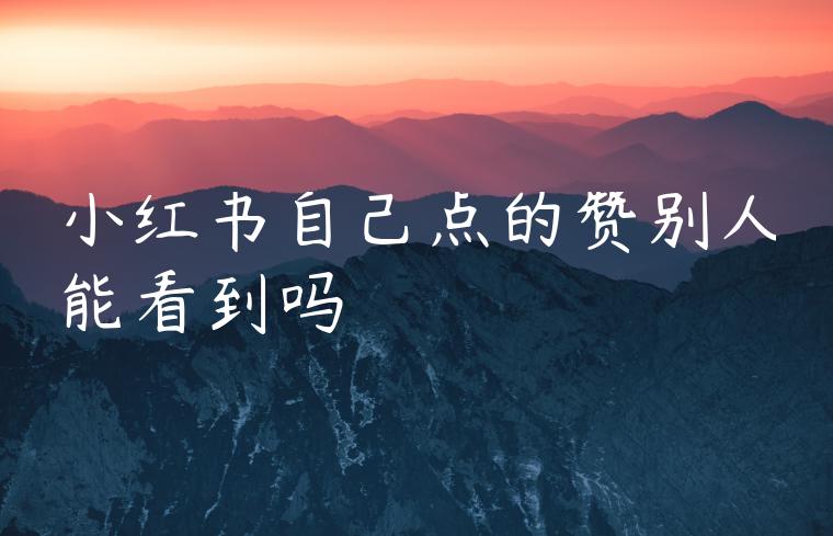 小红书自己点的赞别人能看到吗