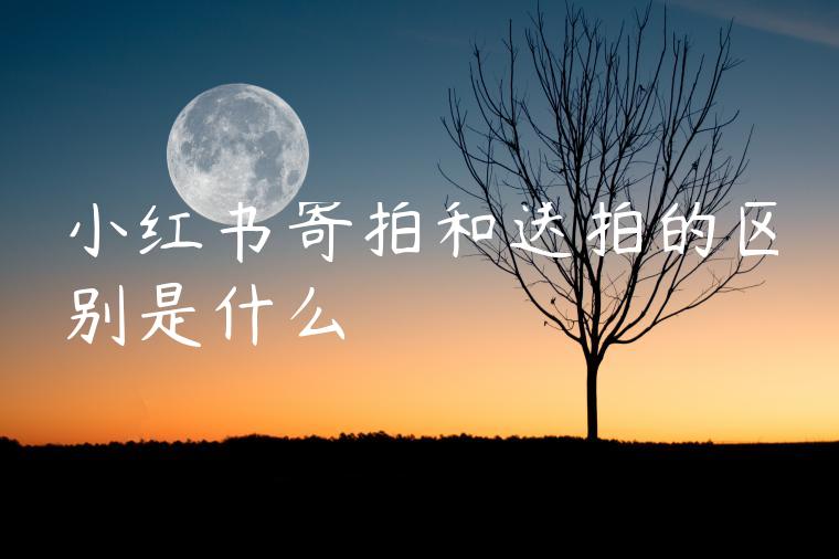 小红书寄拍和送拍的区别是什么