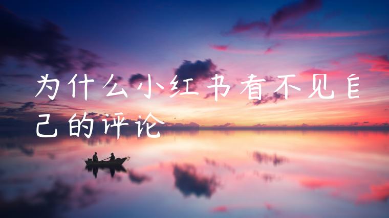 为什么小红书看不见自己的评论