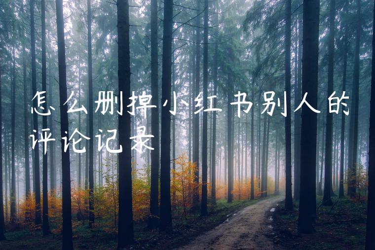 怎么删掉小红书别人的评论记录 怎么删掉小红书别人的评论记录