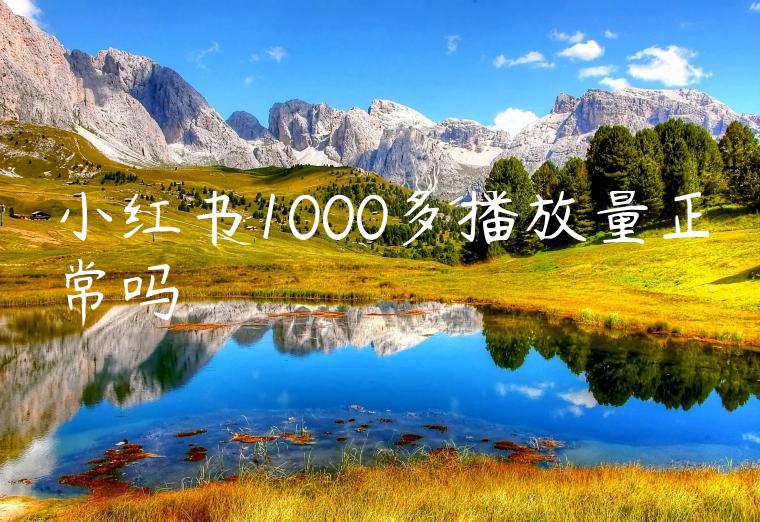 小红书1000多播放量正常吗 小红书1000多播放量正常吗