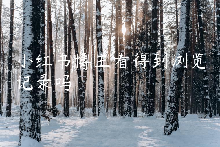 小红书博主看得到浏览记录吗 小红书博主看得到浏览记录吗