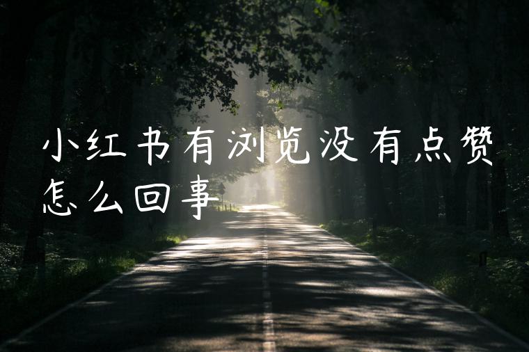 小红书有浏览没有点赞怎么回事 小红书有浏览没有点赞怎么回事